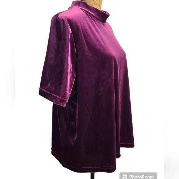Teddi Vintage Wild Thing Mock Neck Velour Velvet Short Sleeve Top Sz 2X Merlot - Picture 2 of 9
